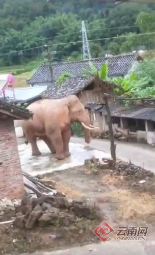 00300167800_c97b23de