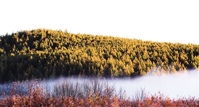 00300160204_ee847029