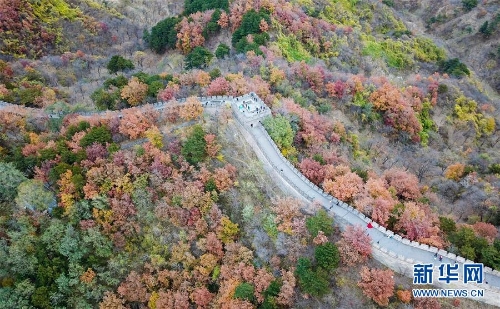 1123625268_15407354679561n 1123625268_15407354679561n