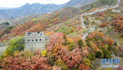 1123625268_15407354678581n 1123625268_15407354678581n