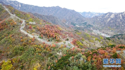 1123625268_15407354679111n 1123625268_15407354679111n