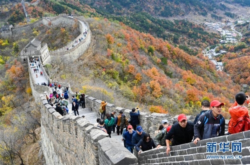 1123625268_15407354681111n 1123625268_15407354681111n