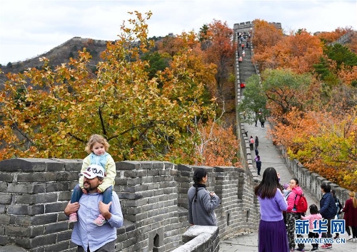 1123625268_15407354683731n 1123625268_15407354683731n