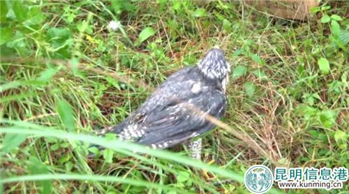 微信图片_20181029223842