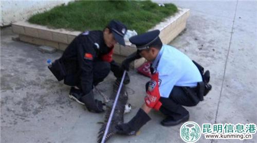 微信图片_20181029223849