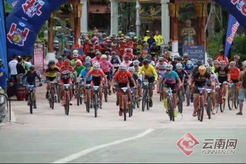 00300169356_e2c7ef92