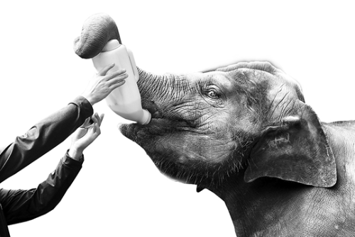 QQ截图20181030091438 QQ截图20181030091438