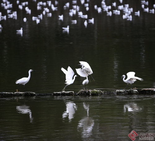 00300170944_3918c883 00300170944_3918c883