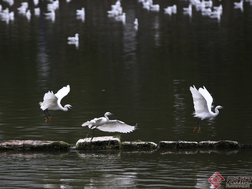 00300170946_8bc7ea0a 00300170946_8bc7ea0a