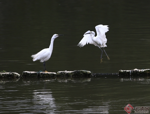 00300170947_dde06efc 00300170947_dde06efc