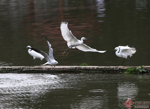 00300170948_081370af 00300170948_081370af