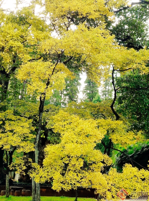 00300170949_341f0fbf 00300170949_341f0fbf