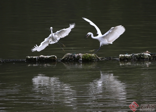 00300170953_ebf75a41 00300170953_ebf75a41