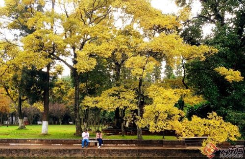 00300170954_c62d6245 00300170954_c62d6245