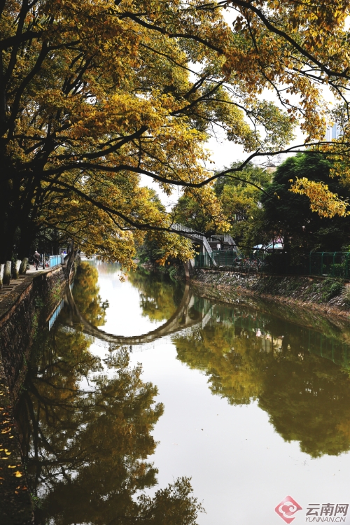 00300170956_49ebc0b2 00300170956_49ebc0b2