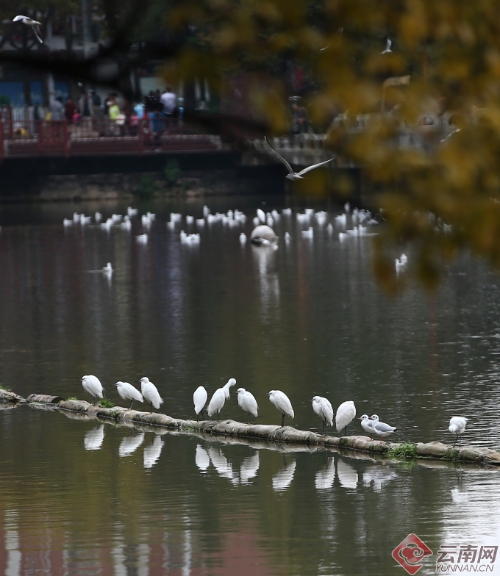 00300170957_eb9dd84f 00300170957_eb9dd84f