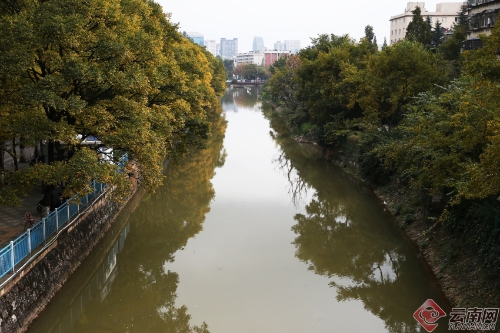 00300170962_eaff2c7a 00300170962_eaff2c7a