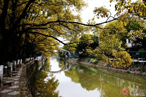 00300170963_2e735619 00300170963_2e735619