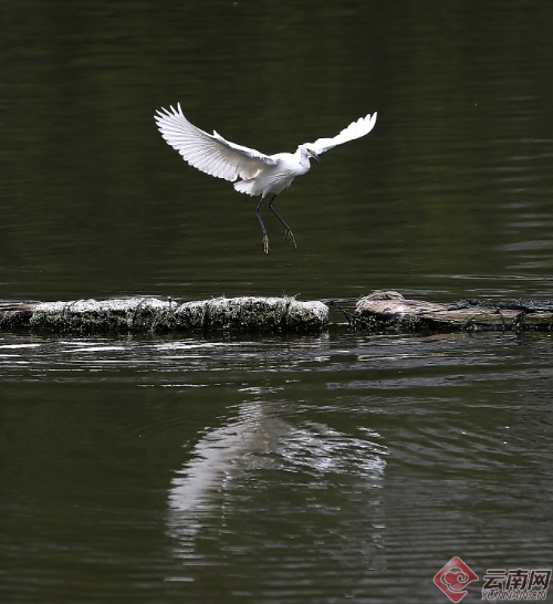 00300170965_b6847428 00300170965_b6847428