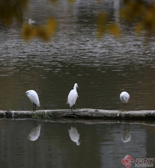 00300170966_cfc6218e 00300170966_cfc6218e