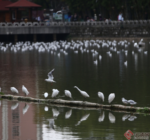 00300170967_64496de1 00300170967_64496de1