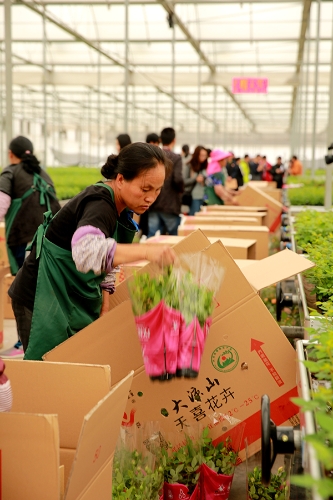 CqgNOlvWs9GATeJKAAAAAAAAAAA165.600x900