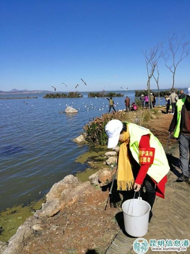 QQ图片20180115152424