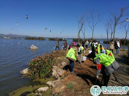 QQ图片20180115152447