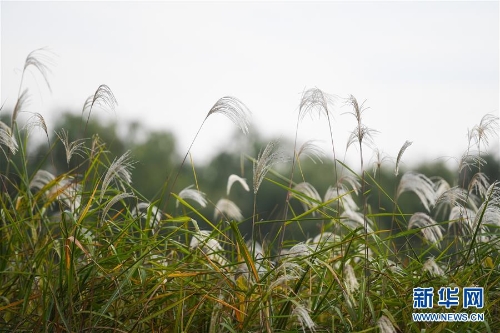 f44d30758a2f1d49d7ff17 f44d30758a2f1d49d7ff17