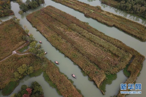 f44d30758a2f1d49d7ff1c f44d30758a2f1d49d7ff1c