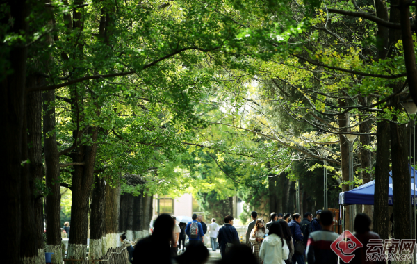 00300179993_a27959e8 00300179993_a27959e8