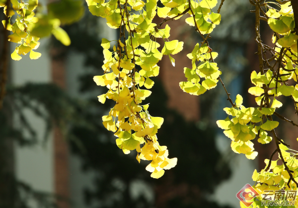 00300179997_574bb096 00300179997_574bb096