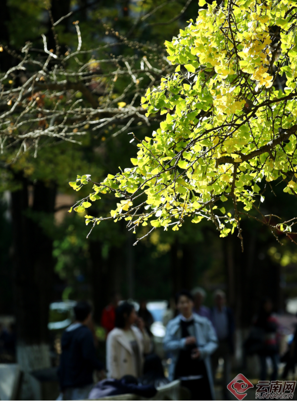 00300180000_807b7aac 00300180000_807b7aac