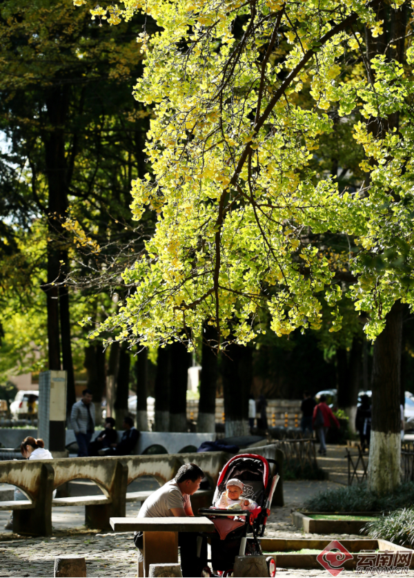 00300180011_c4c05a91 00300180011_c4c05a91