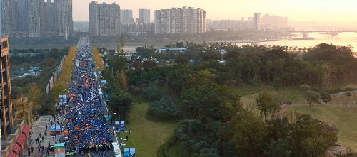 1123666164_15414079329461n