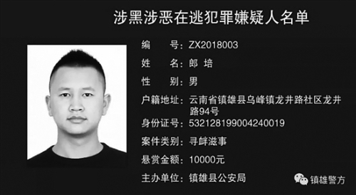 20181106A05_res07_attpic_brief