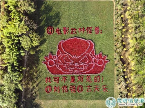 怪兽花田 怪兽花田