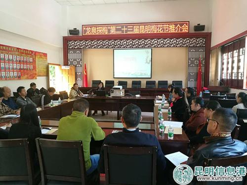 黑龙潭公园就本届梅展进行推介。