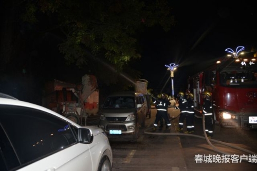 大树着火 秦蒙琳 通讯员 汪伟杰 摄