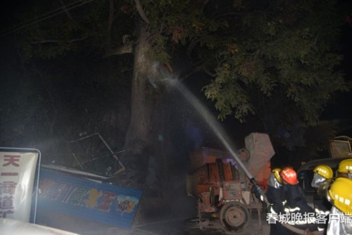 大树着火 秦蒙琳 通讯员 汪伟杰 摄