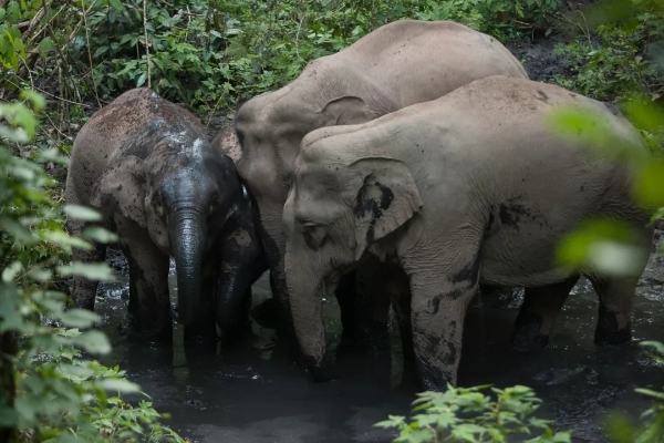 640.webp (7) 640.webp (7)