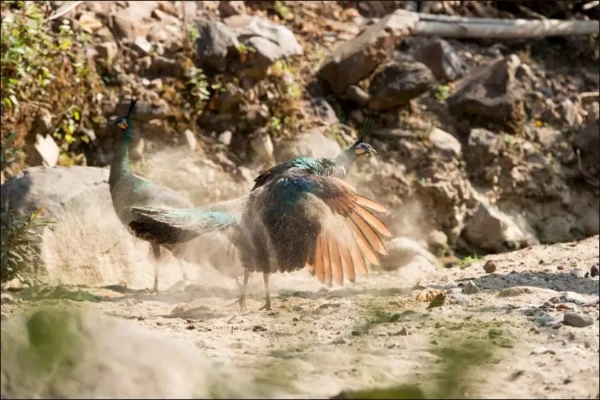 640.webp (11) 640.webp (11)