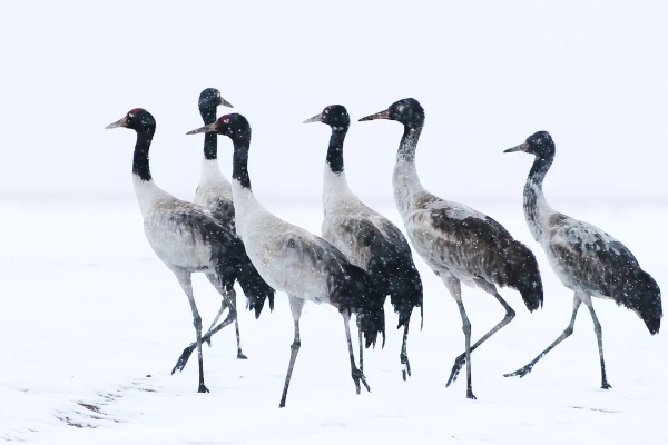 640.webp (12) 640.webp (12)