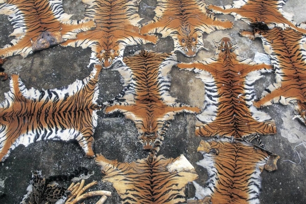 640.webp (17) 640.webp (17)