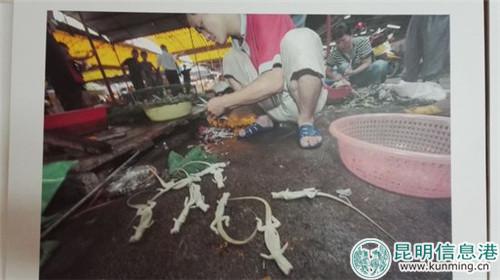 摄影展上展示的照片 摄影展上展示的照片