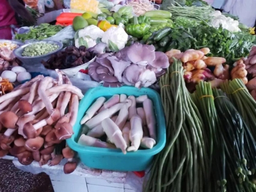 微信图片_20181119114917