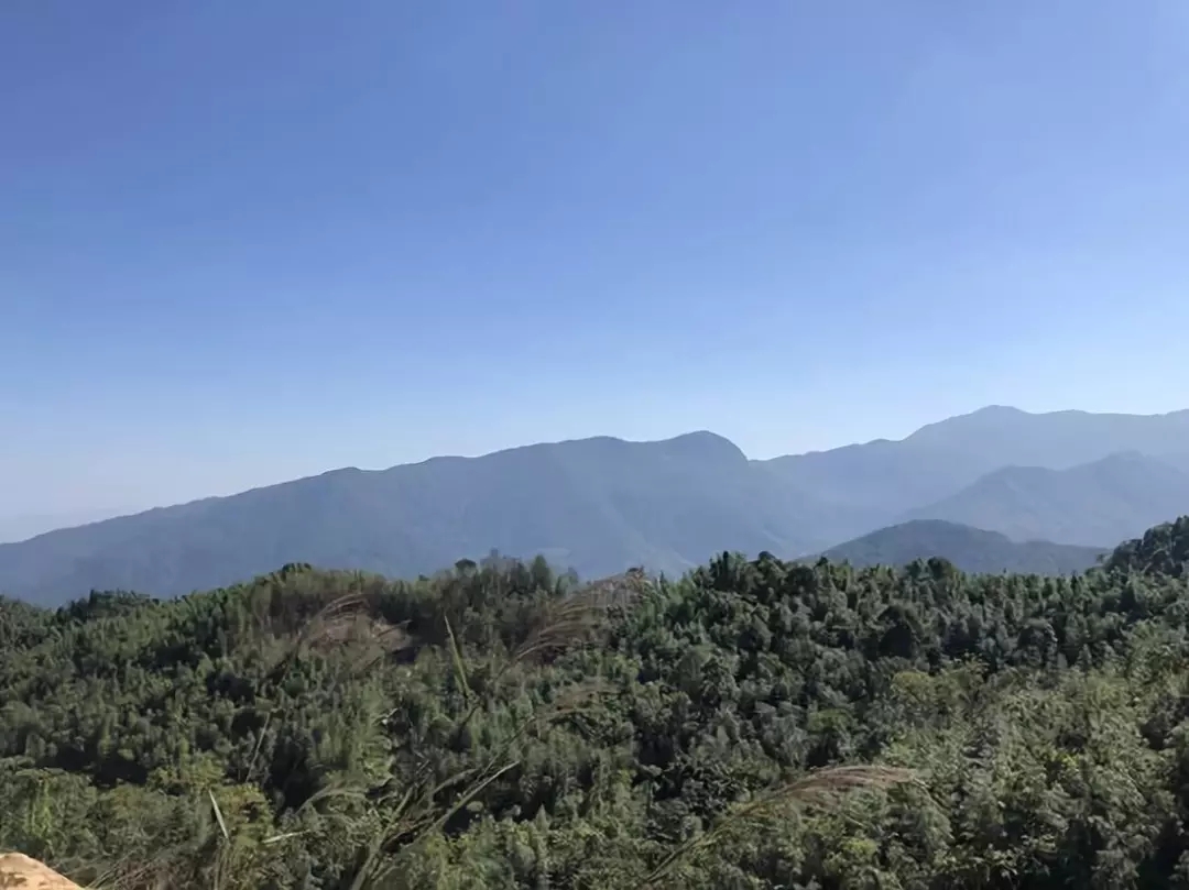 雷响之时他用血肉之躯护住战友