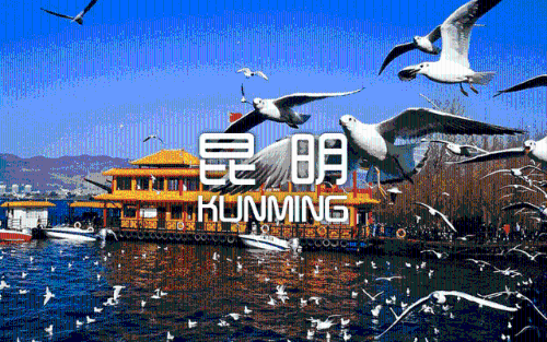 微信图片_20181120153112