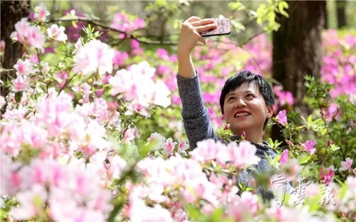 微信图片_20181120153128