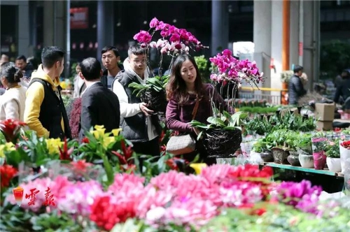 微信图片_20181120153131